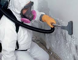 Best Residential Mold Inspection & Testing  in Oronogo, MO